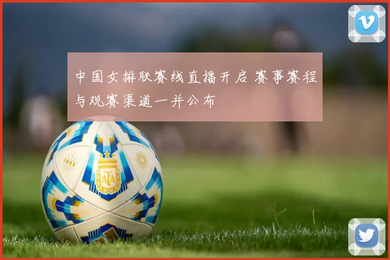 中国女排联赛线直播开启 赛事赛程与观赛渠道一并公布