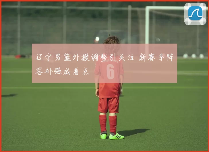 辽宁男篮外援调整引关注 新赛季阵容补强成看点