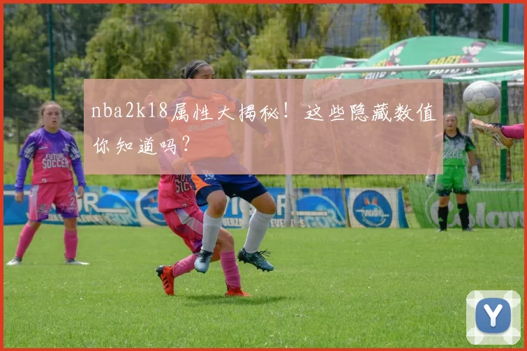 nba2k18属性大揭秘!这些隐藏数值你知道吗?