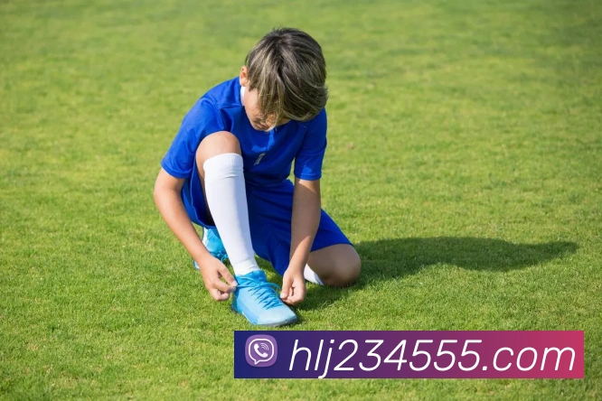 开云官方在线登陆入口服务体系